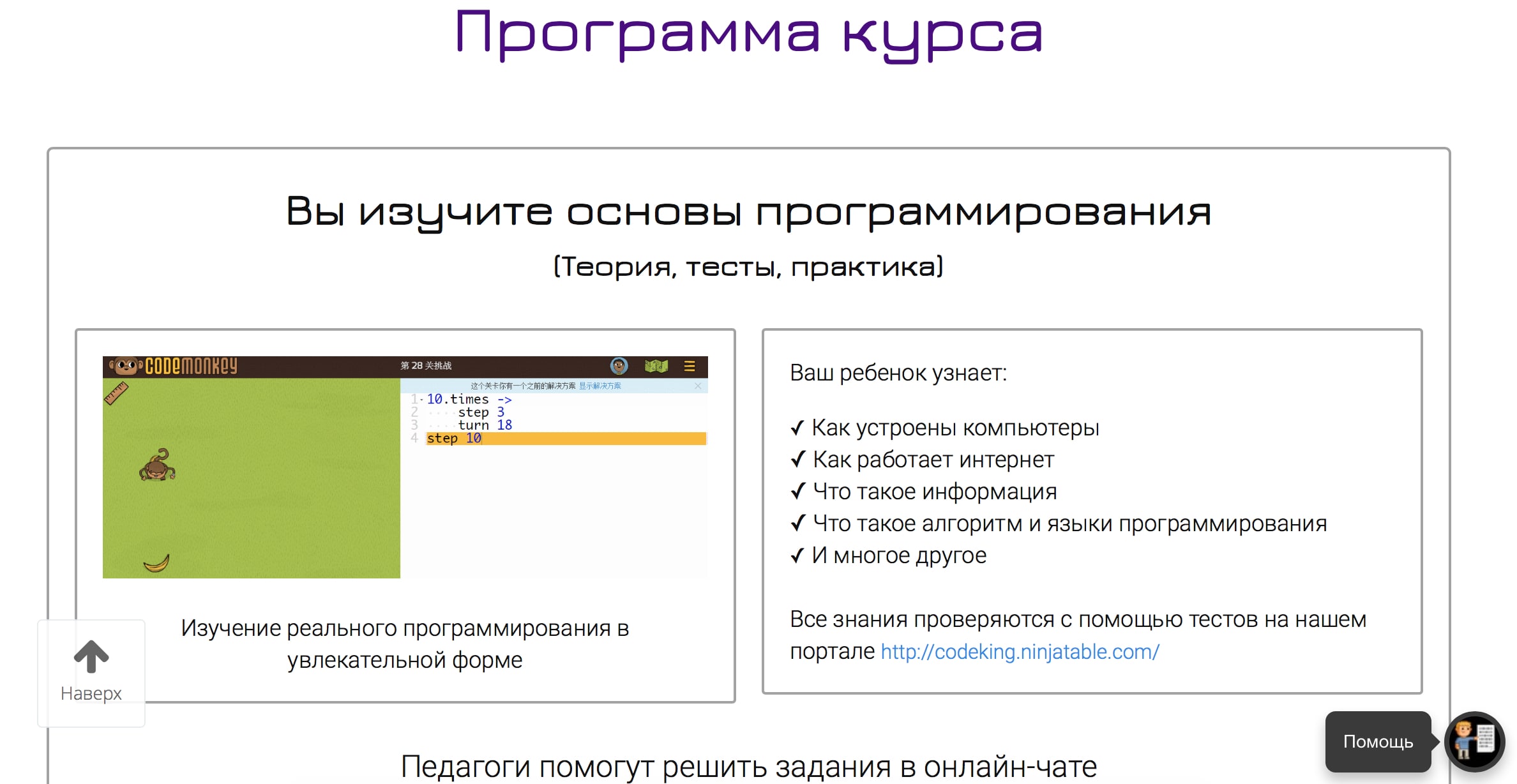 CodeKing.online, скриншот интерфейса 2